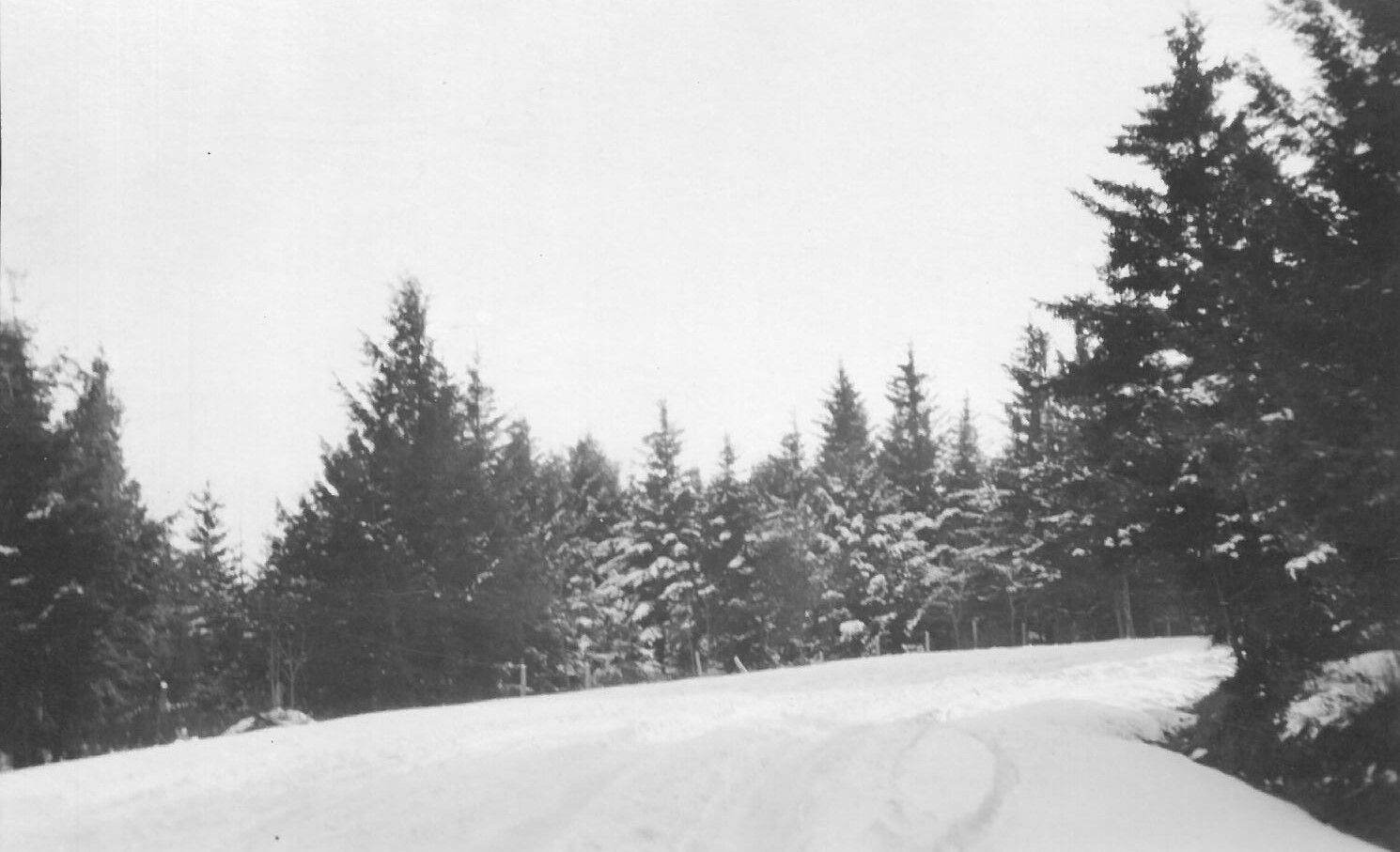Snowed in